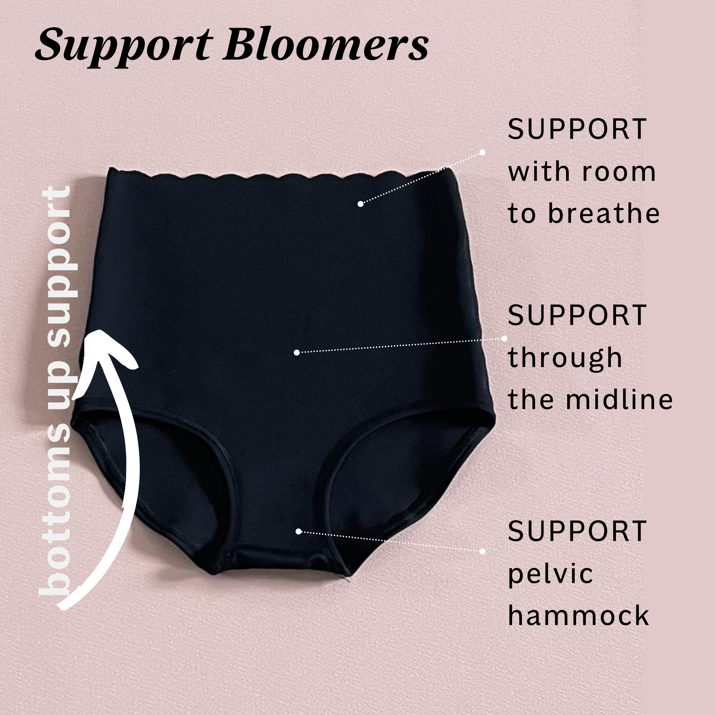 2 pack Support Bloomer - the Mother Load